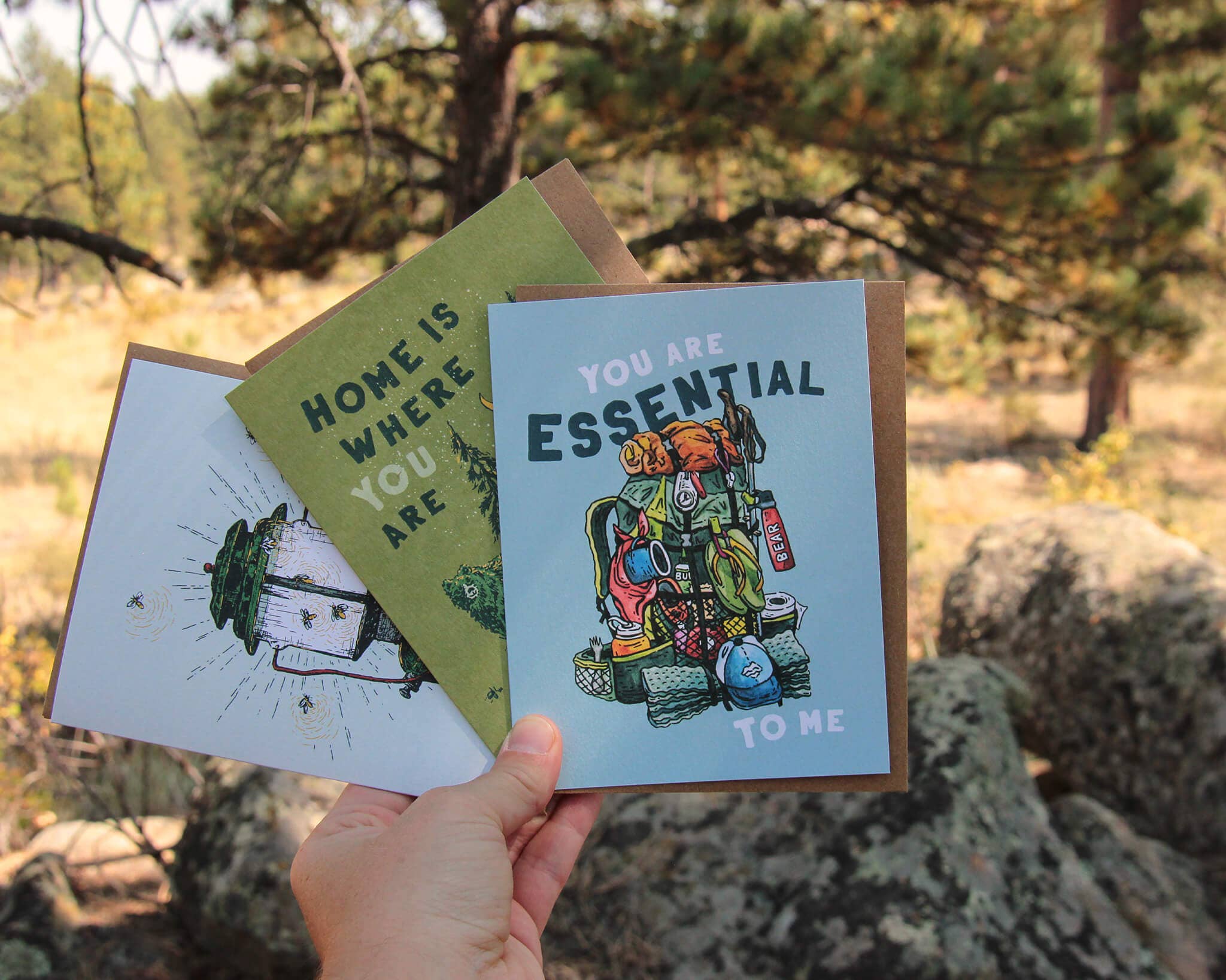 Alpinecho - Vente Carte de vœux classique - Bird Chatter Carte de vœux Meadowlark2