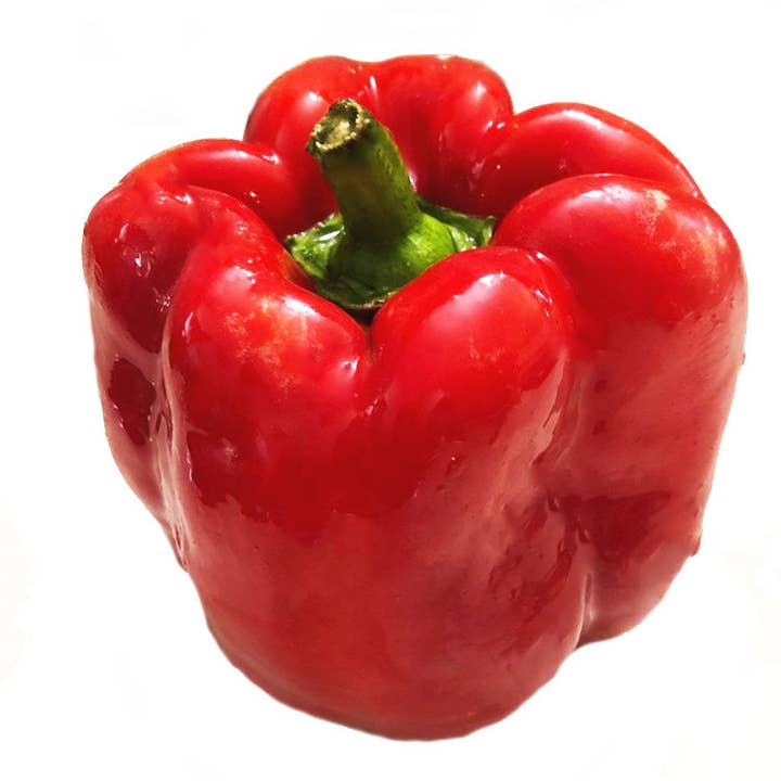 California Wonder Pepper Seeds (Capsicum annuum) 100 Seeds (1 grams) for wholesale by Smoke Camp Crafts
