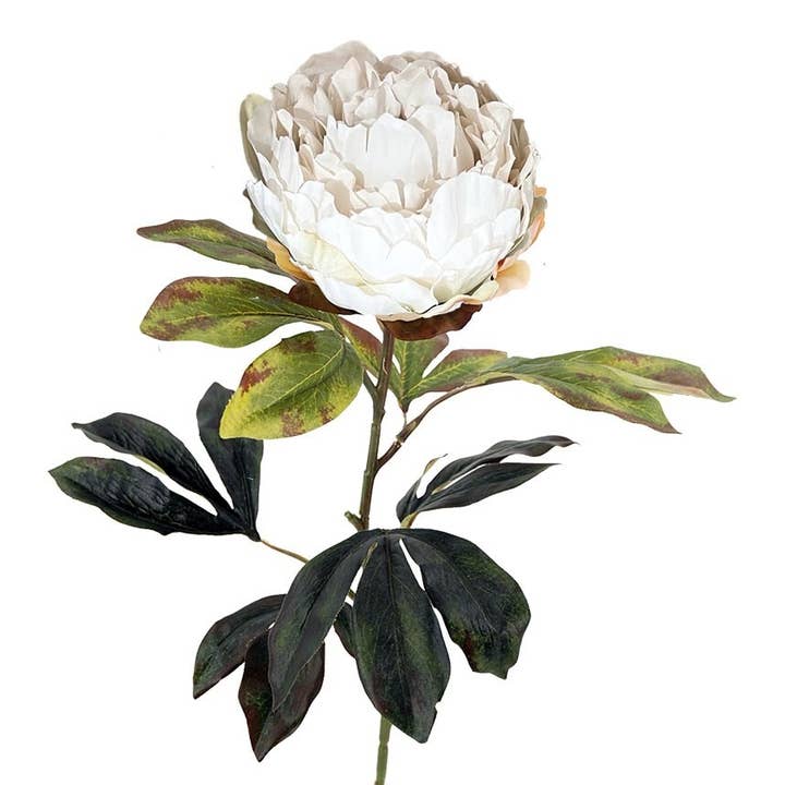 Aguilar Málaga - Wholesale Artificial Flowers - Peony X1 M.Ter.Cream 75cm (12)0