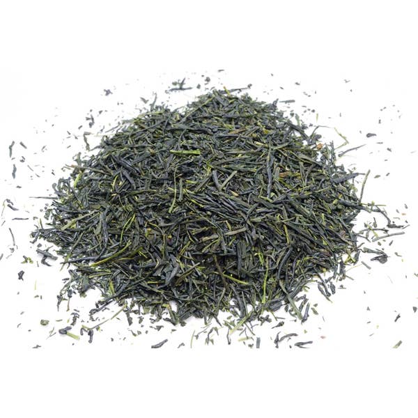 Premium Sencha for wholesale by Aiya Matcha