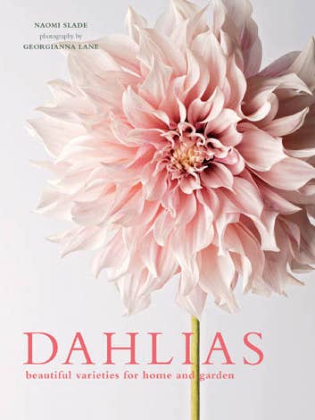 Dahlias; Beautiful Varieties for Home & Garden for wholesale by Gibbs Smith
