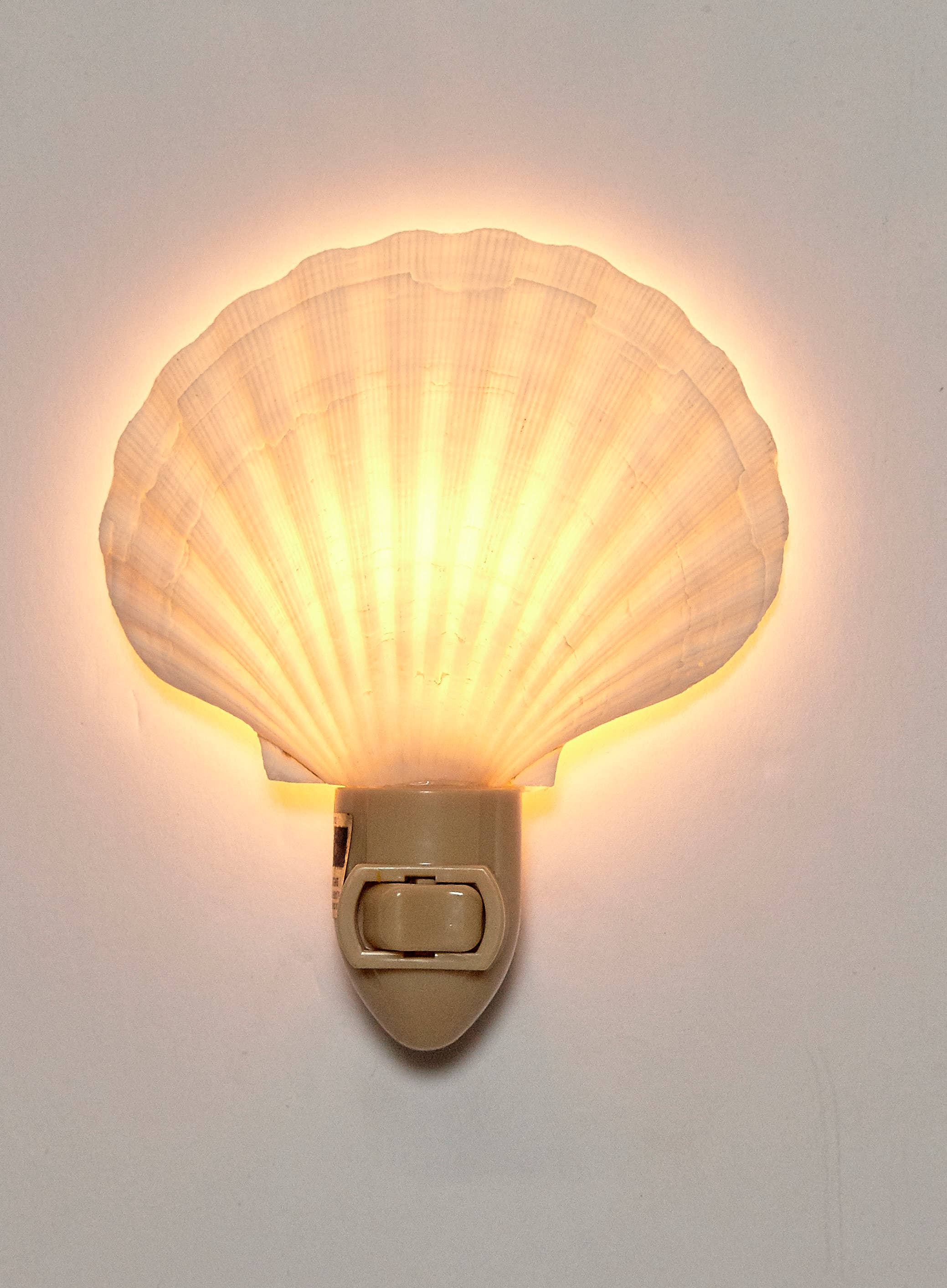 HS Seashells - Wholesale Night Light - Irish Deep Boxed LED Night Light3