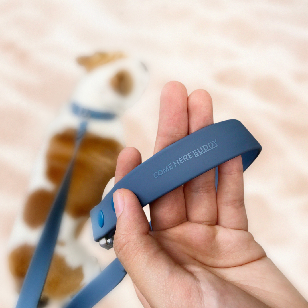 Come Here Buddy - Wholesale Pet Leash - Dog - Dog Leash11