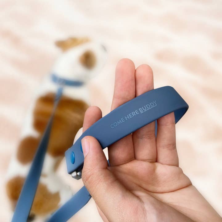 Come Here Buddy - Wholesale Pet leash – Dog - Dog Leash11