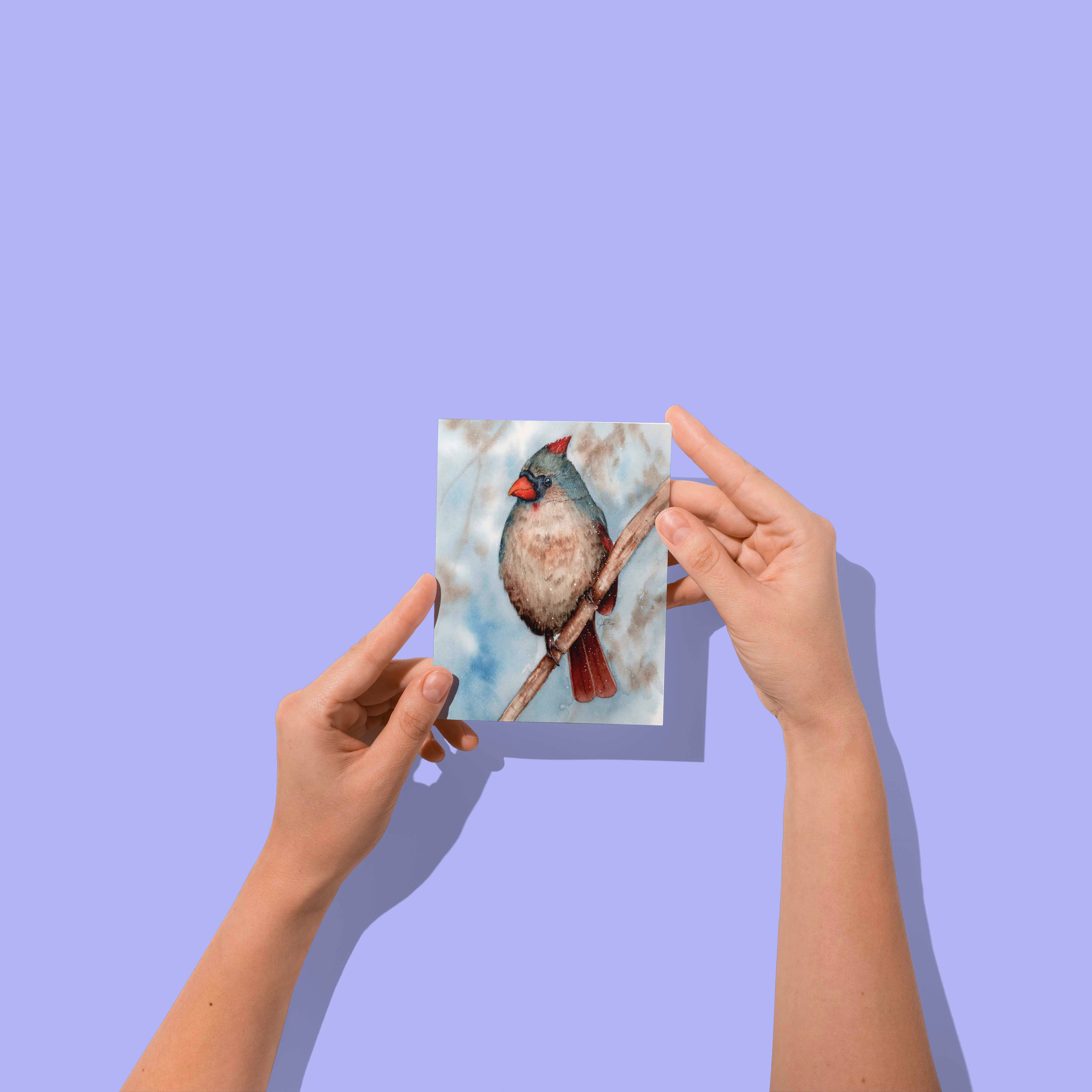 Julia's Palette - Vente Cartes de vœux saisonnières - Carte de vœux pour femme cardinale dans la neige et l'hiver1