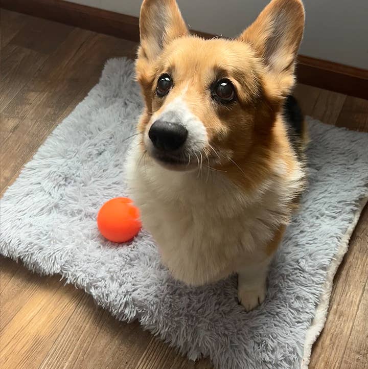 Grey Fuzzy Pet Bed for wholesale by PAWZ