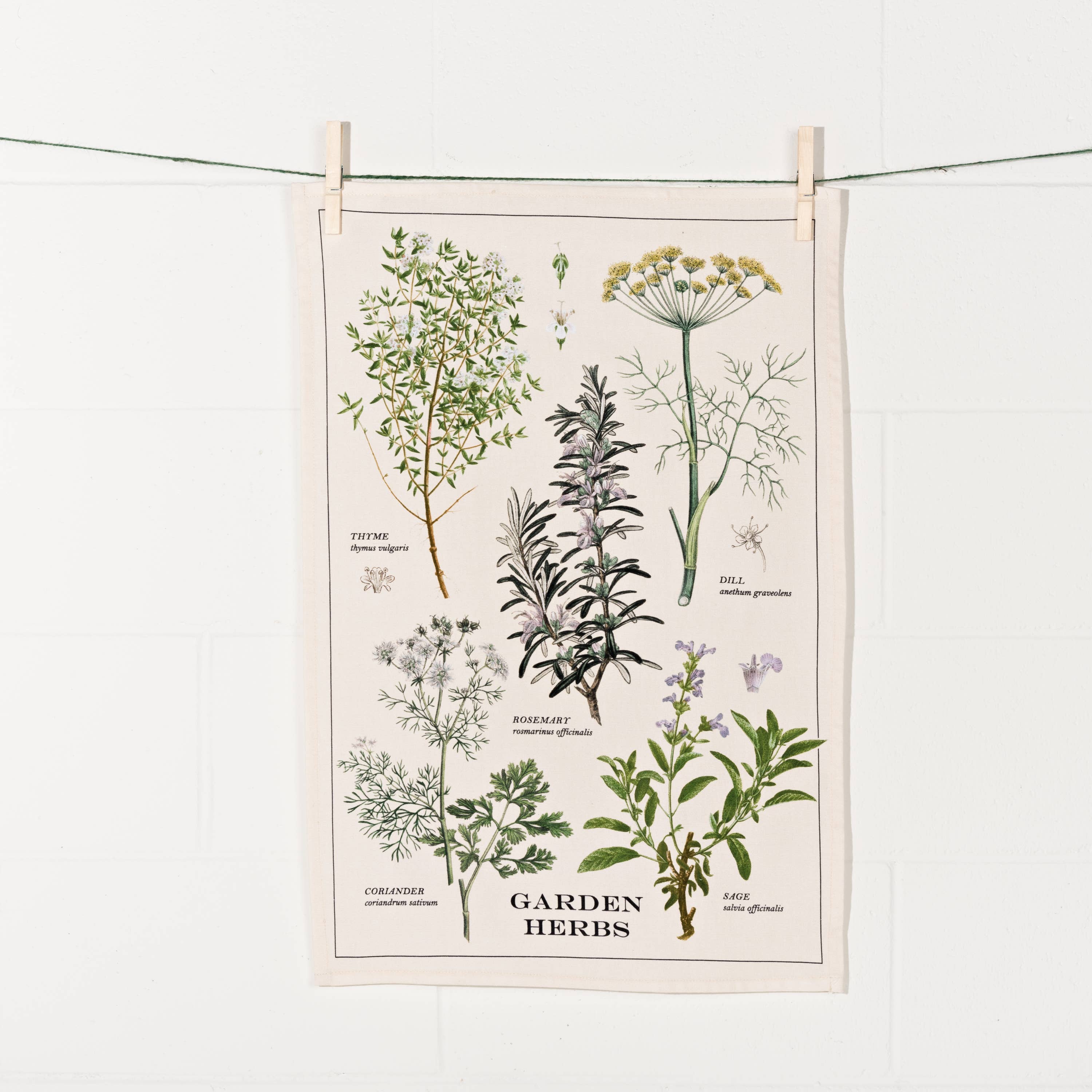 Now Designs by Danica - Wholesale Tea Towel - Garden Herbs Dishtowel