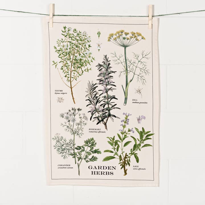 Garden Herbs Dishtowel for wholesale by Now Designs by Danica