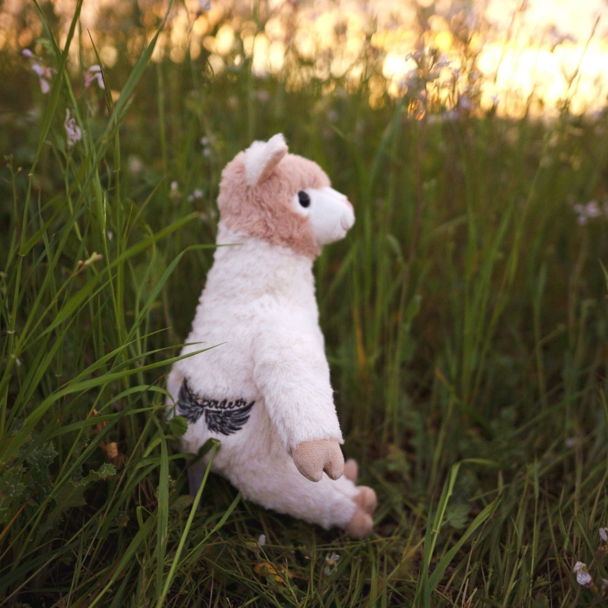 Free Birdees - Wholesale Stuffed/Plush Toy - Kids & Baby - Alpaca Stuffie7