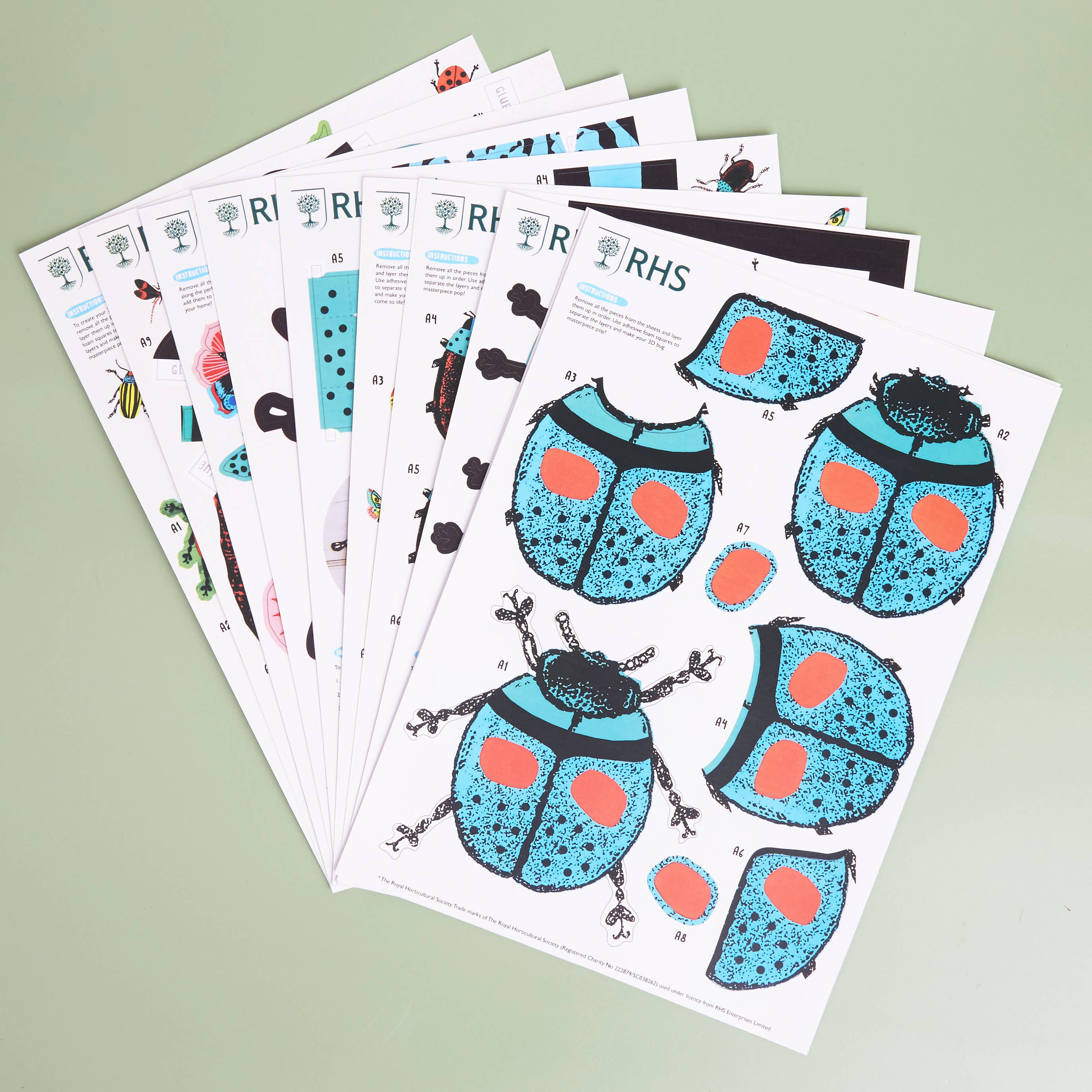 West Design Products – wholesale DIY craft kit – Child – Royal Horticultural Society Make Your Own 3D Bugs Kit2