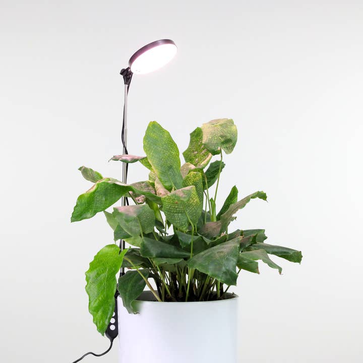 Mossify - Wholesale Garden Tool - Adjustable LED Plant Light