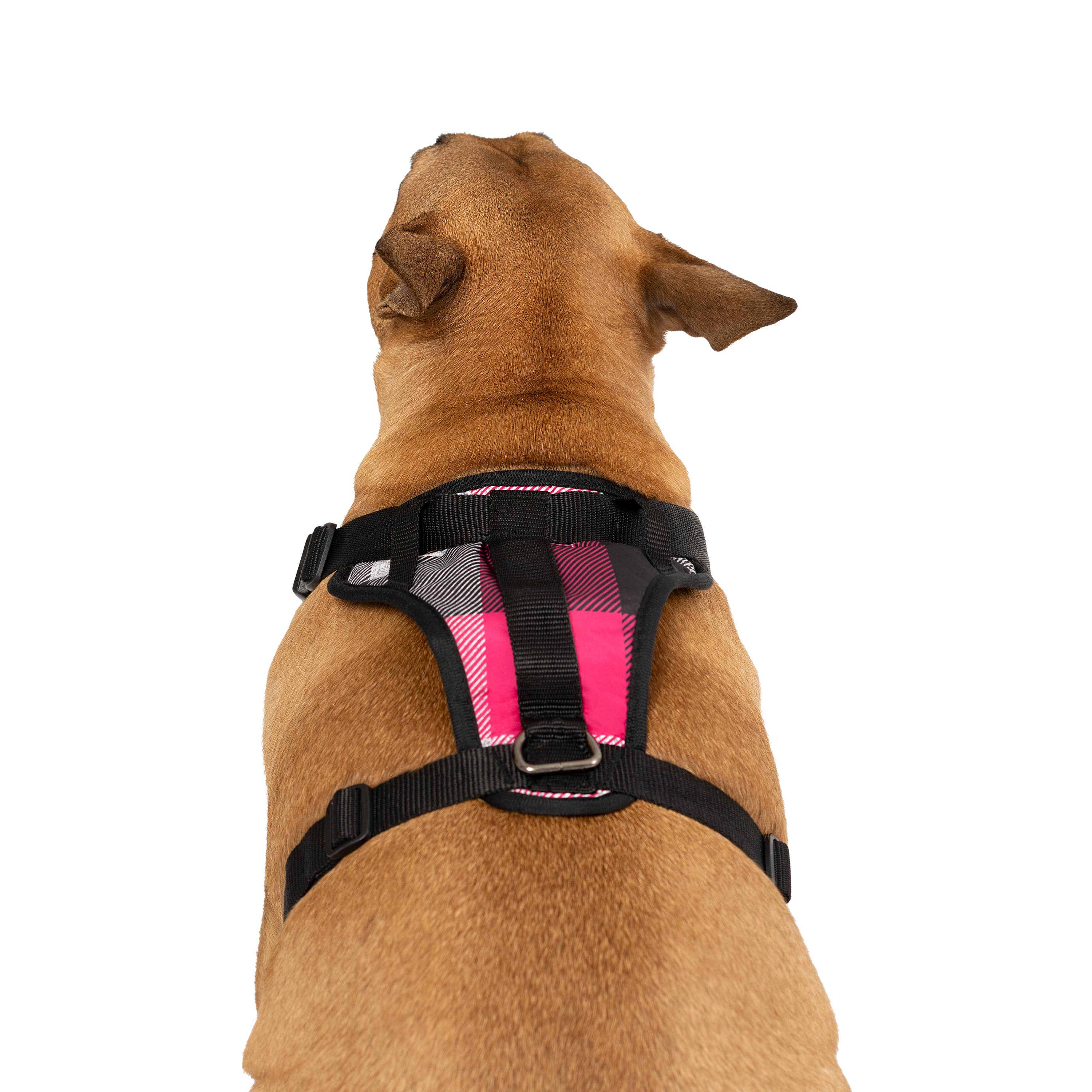 Canada Pooch – wholesale Pet harness – Dog – Everything Harness- No-Pull Dog Harness (Water Resistant)6