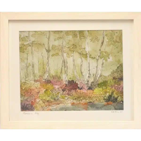 Abbeyleix Bog Gicleé Print for wholesale by Alison McEvoy Pen & Watercolour