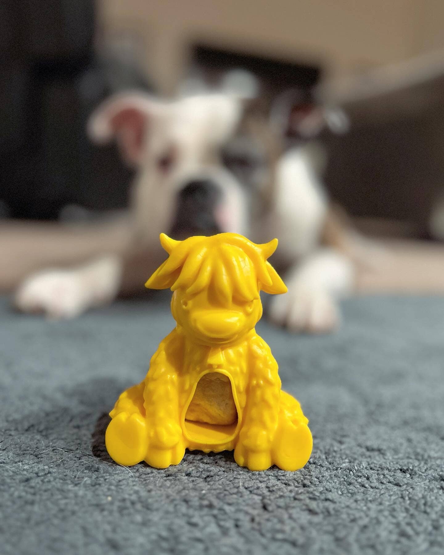 Yeti Dog Chew - Wholesale Pet Chew Toy - Dog - Yak Puff and Play Dog Chew Toy Treat Dispenser, Yellow3