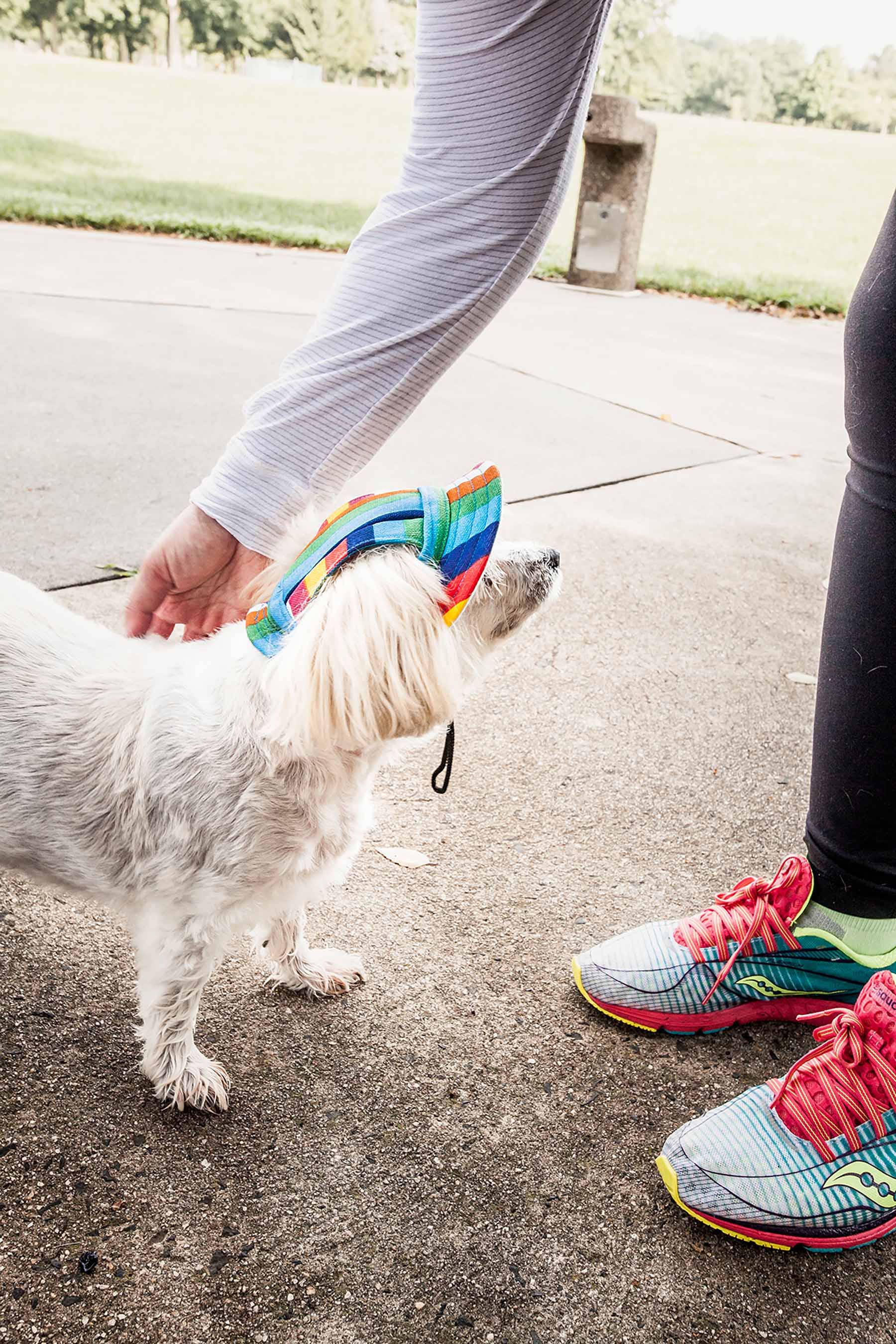 Regenboog Pet Life® Colorfur verstelbare hondenhoed met UV-bescherming en klep voor groothandel op Faire3