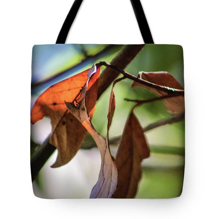 BORSA "TOTE" - TOTE BAG "THE AUTUMN'S PLANTS AND LEAVES" per la vendita all'ingrosso da parte di sorayadapuzzostore