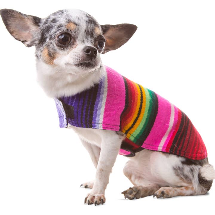 Baja Ponchos - Wholesale Pet Poncho - Dog - Dog Poncho From Mexican Serape Blanket - Pink1