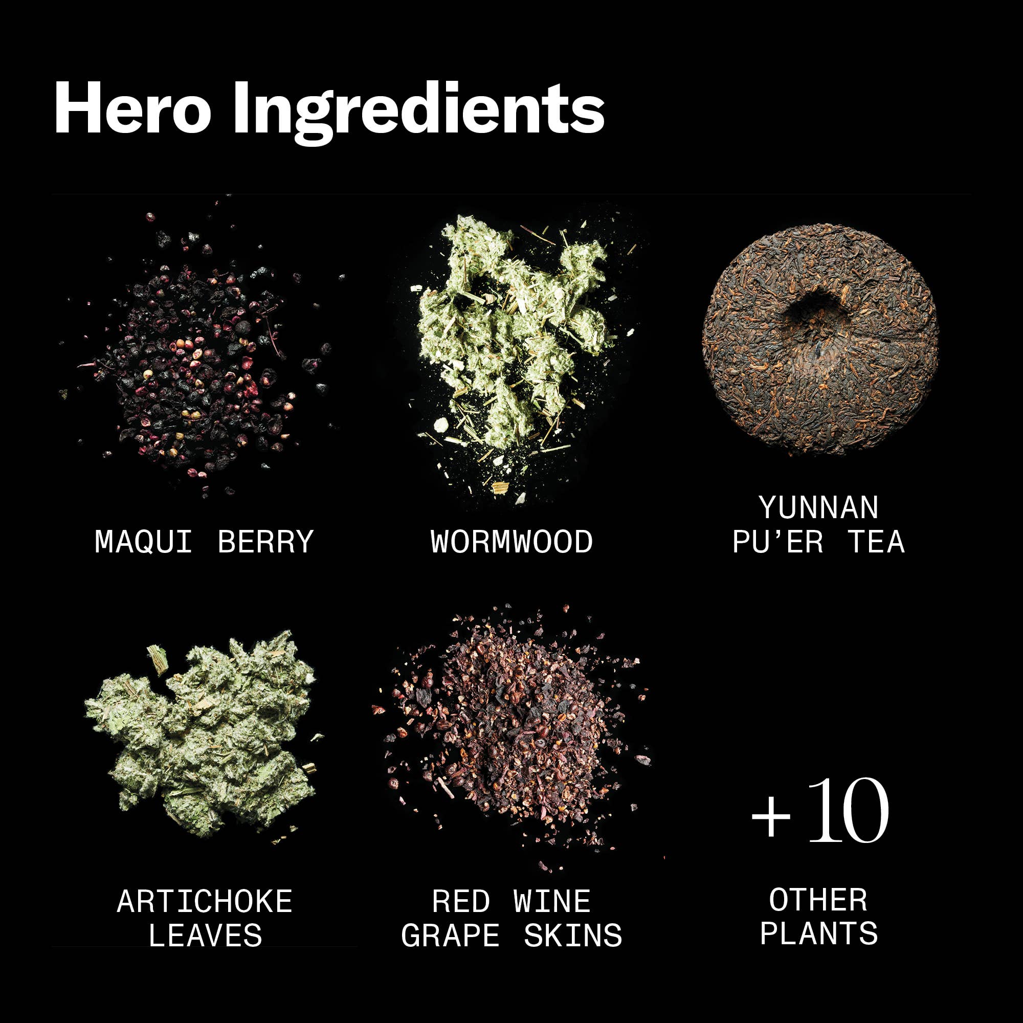 Rasāsvāda - Wholesale Bitters - Ruby Artemisia4