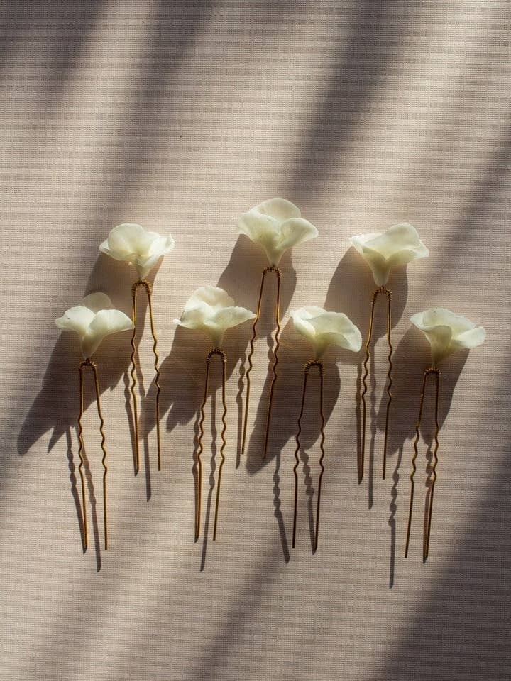 Sienne pour la vente par Alyson Nicole