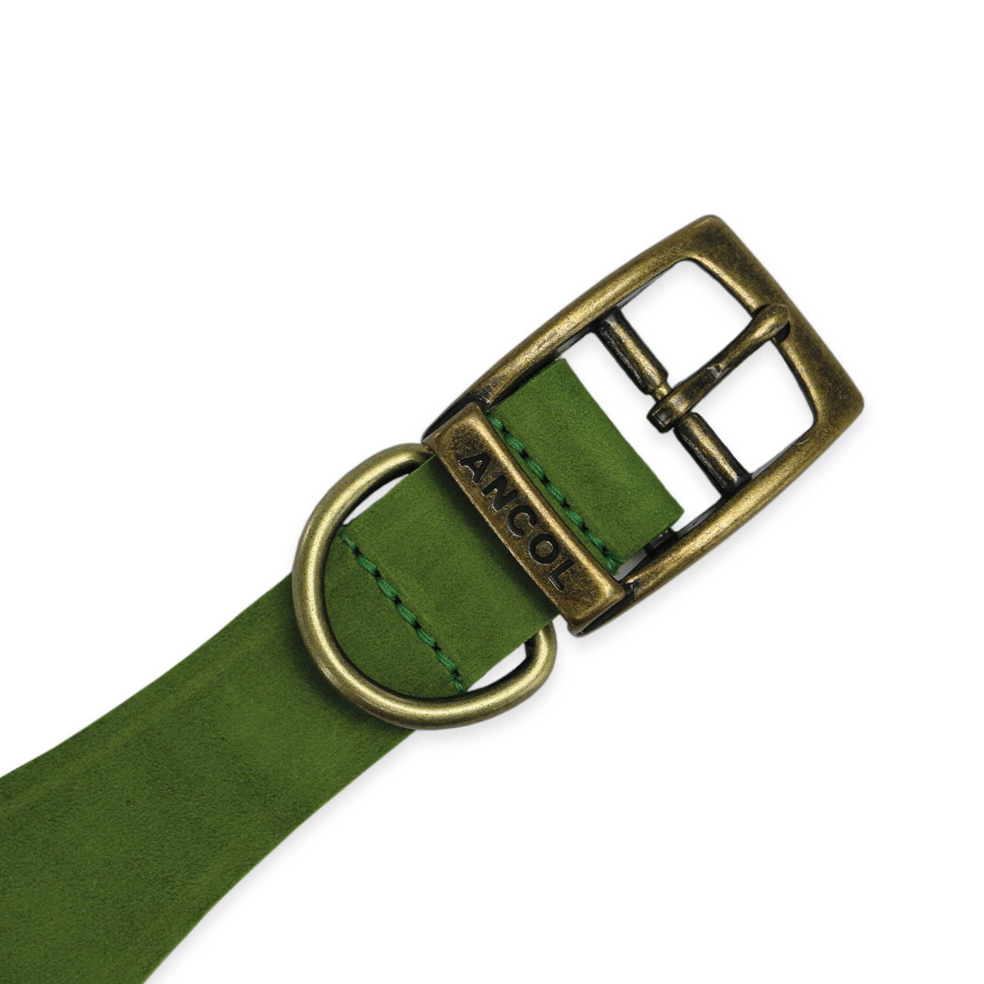 Ancol Pet Products Ltd – wholesale Pet collar – Dog – Timberwolf Leather Hound  Collar ( Size 30-34cm)5