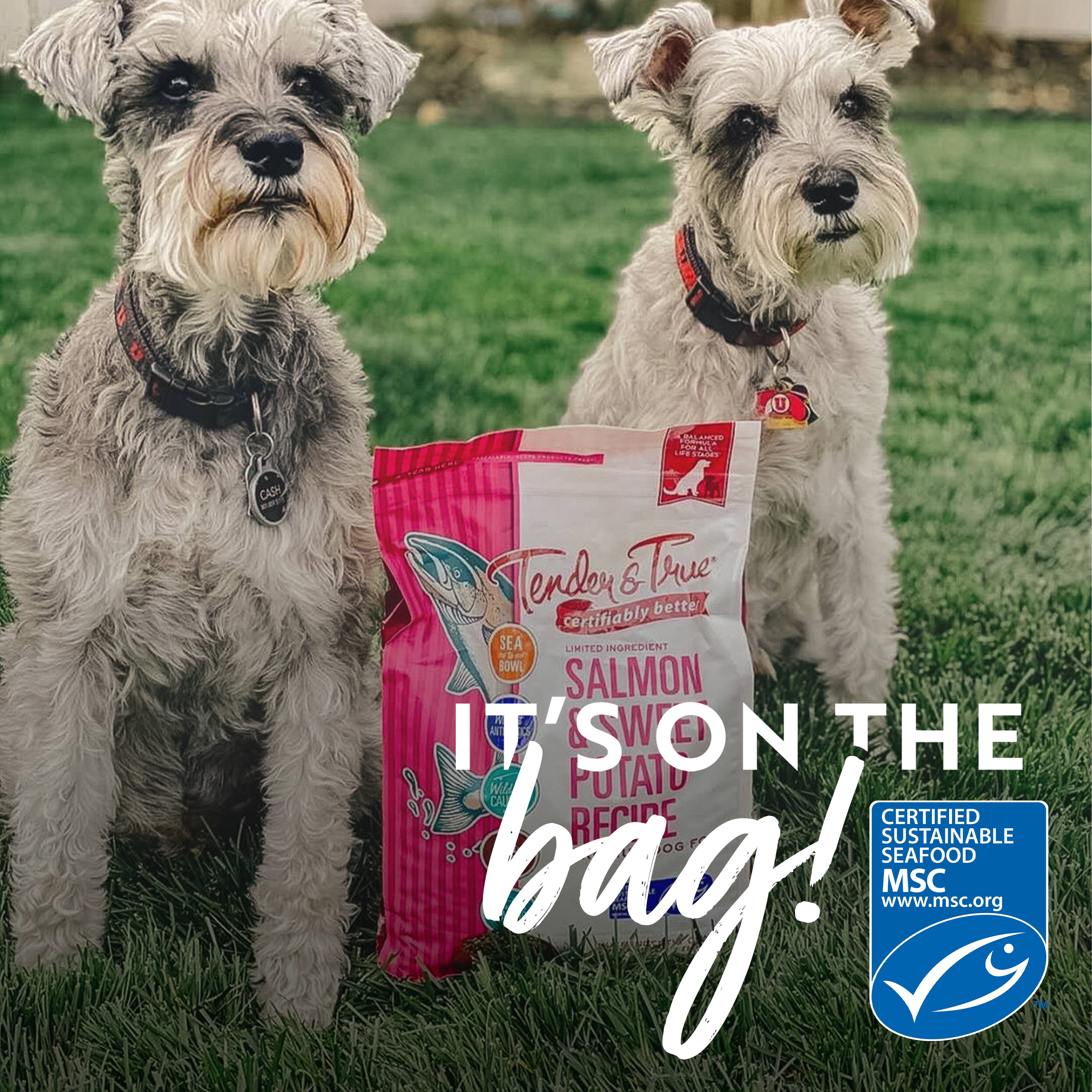 Tender & True Pet Nutrition - Wholesale Pet Food - Dog - Salmon & Sweet Potato Recipe Dry Dog Food, M/L bag4