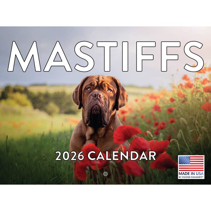 Mastiff Kalender 2026 Monats-Wandkalender 12 Monate | Hergestellt in den USA für den Großhandel von 2026 Calendars