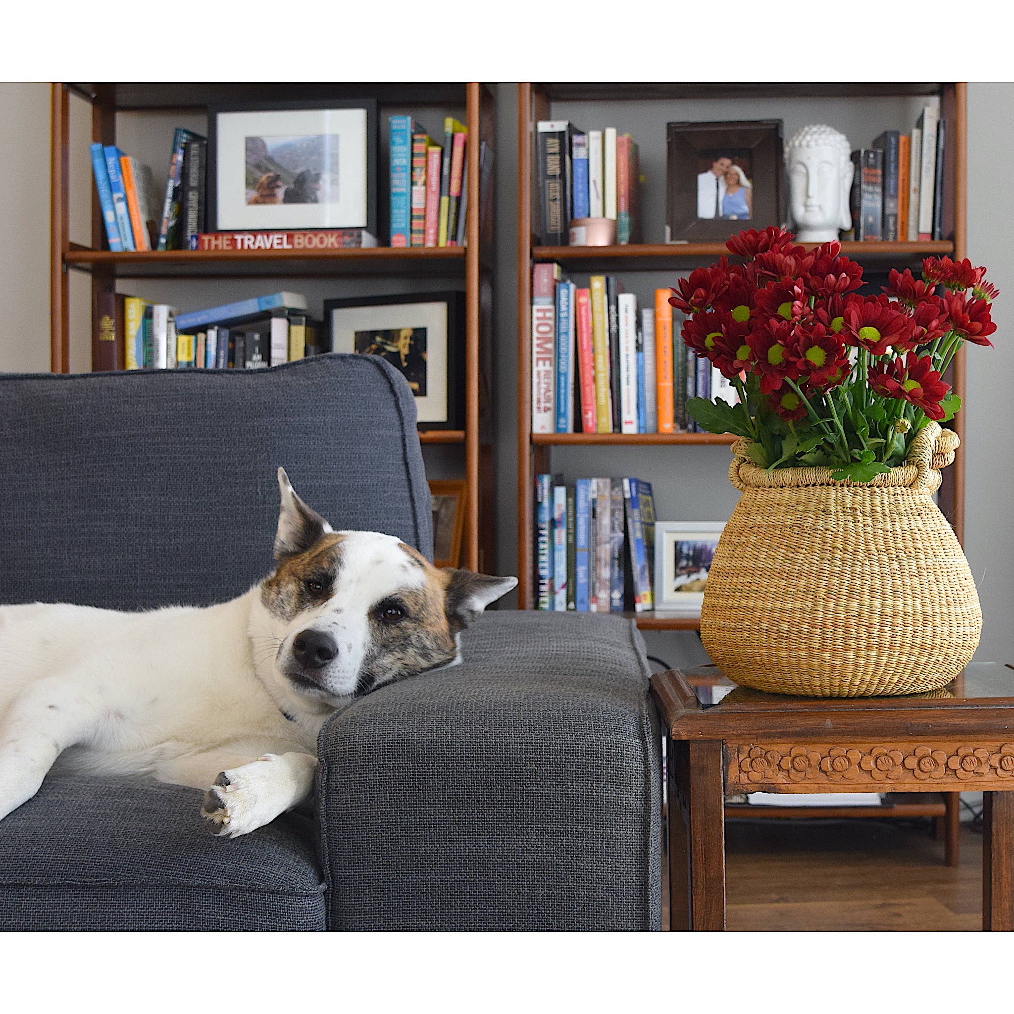 Ti-a Woven Goods - Wholesale Plant Pot - Bell-Shaped Basket / Plant Holder15