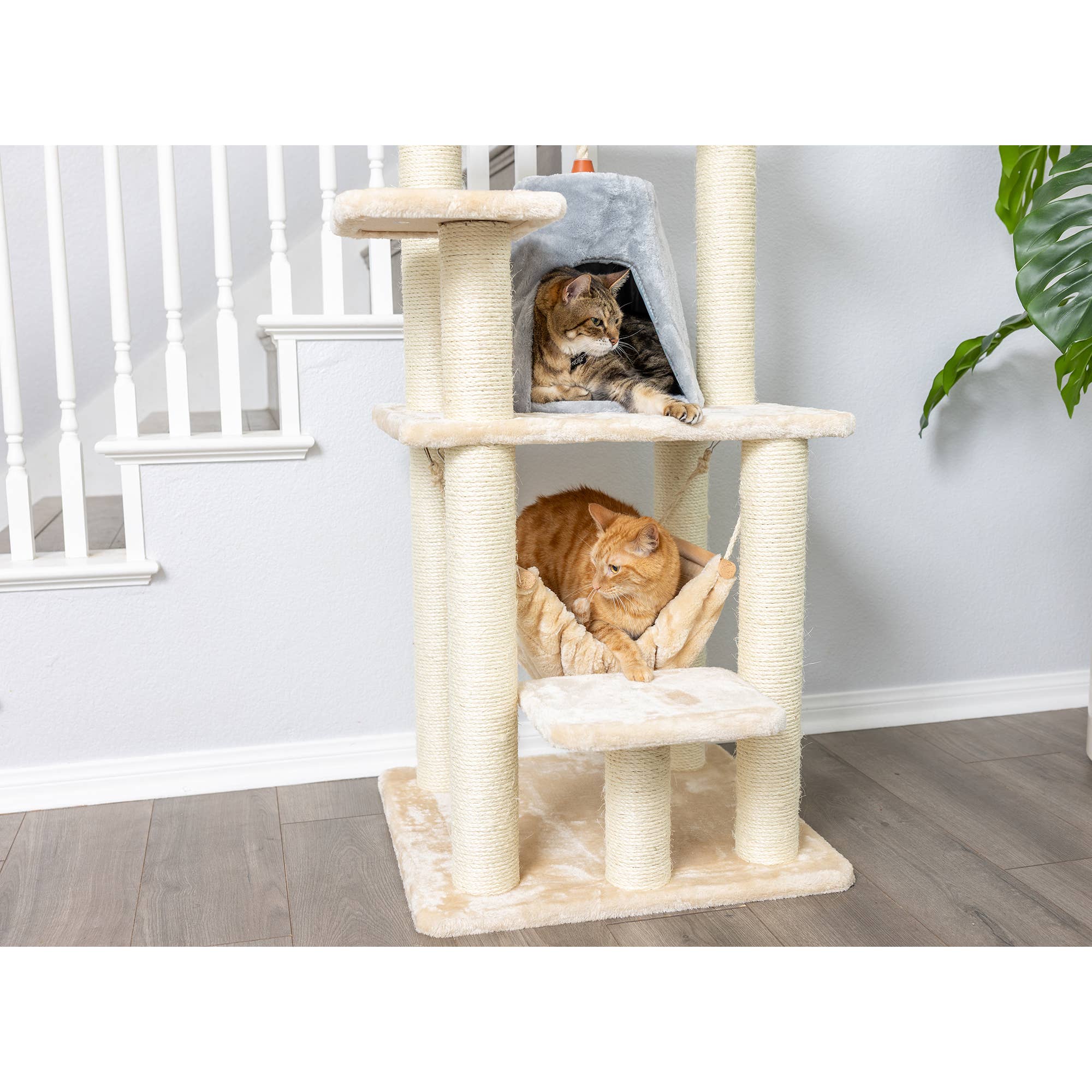 Armarkat - Wholesale Pet Scratcher - Cat - 65" Cat Tree with Hammock and Playhouse5