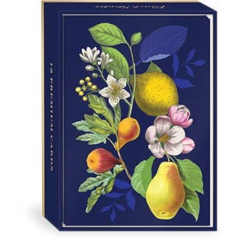 12 CT BOXED NOTE CARDS VINTAGE FLORAL FRUIT for wholesale by Punch Studio