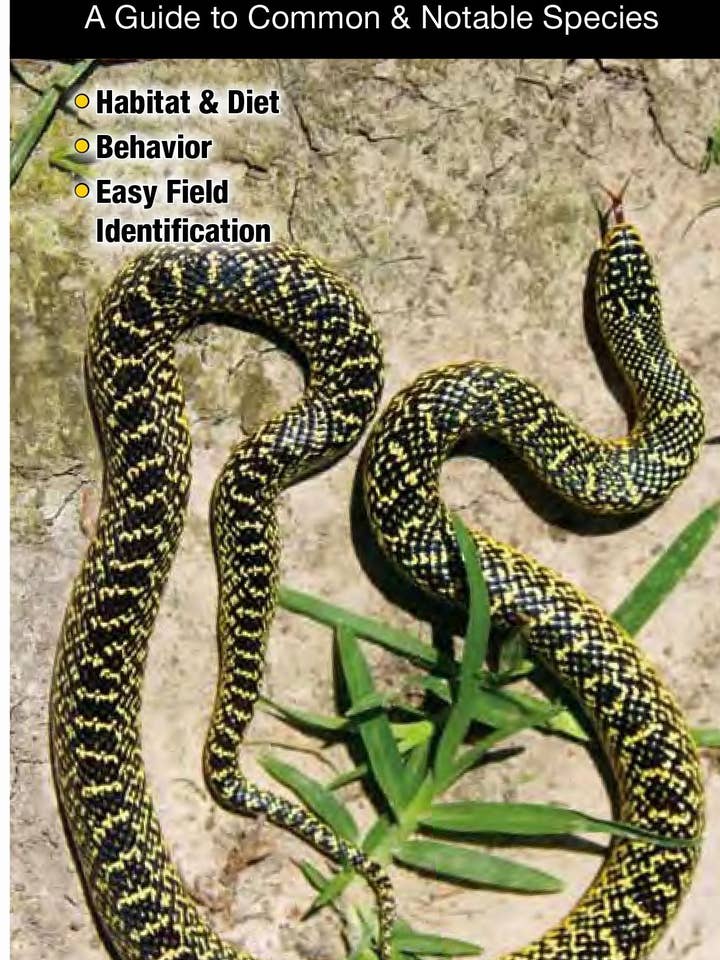 Snakes of Louisiana for wholesale by Quick Reference Publishing, Inc