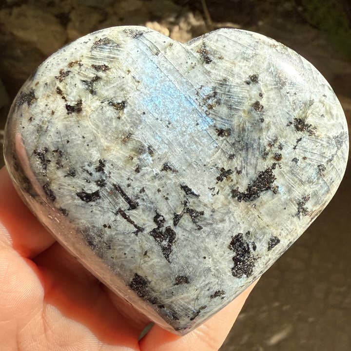LARVIKITE HEARTS for wholesale by ZeeRocks