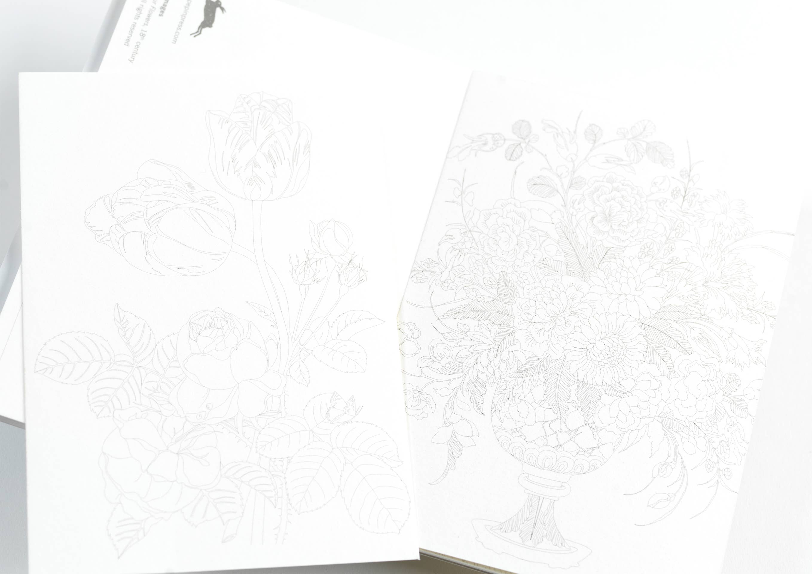 Pepin Press - Vente Assortiment de cartes postales - Livre de cartes postales aquarelle avec images florales4