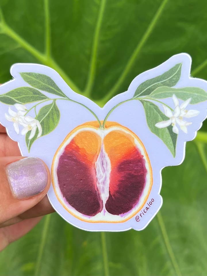 Blood Orange Fruit - Uterus Sticker for wholesale by Ricaloo