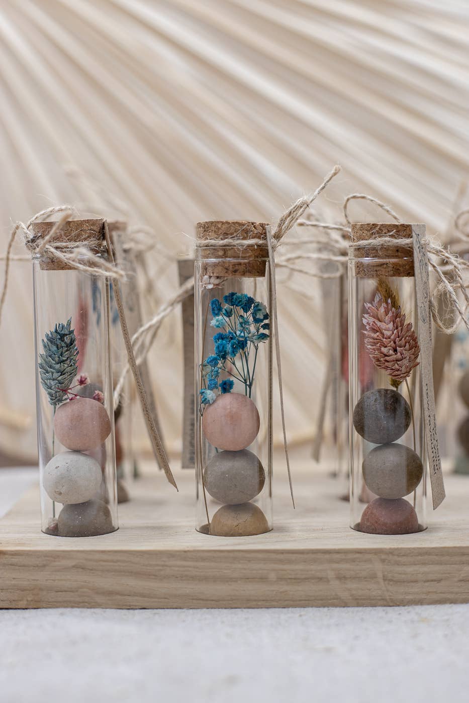 Favou - Wholesale Plant Seeds - Seed Bombs - Flowers - Blossombs in a bottle 0