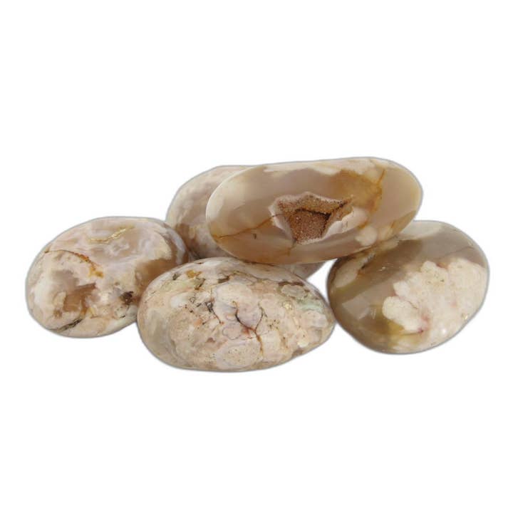 Flower Agate Palms - 1 lb for wholesale by Rock Restock