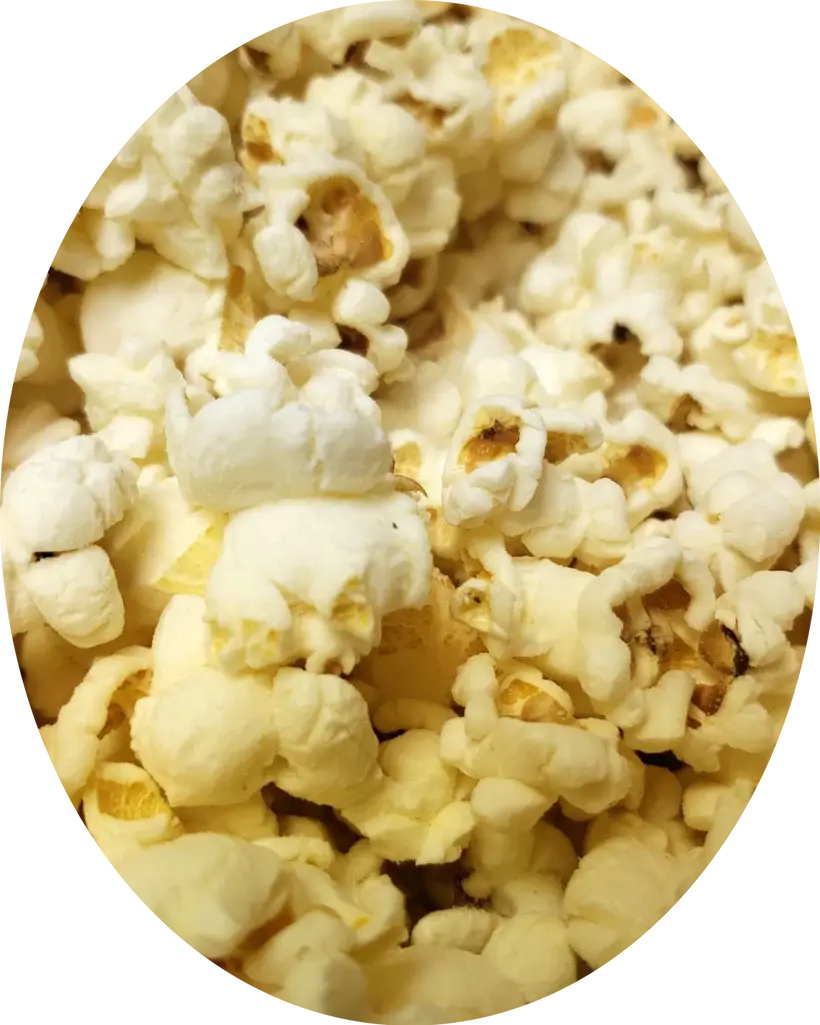 Pop On The Block - Wholesale Popcorn - DILL PICKLE POPCORN1