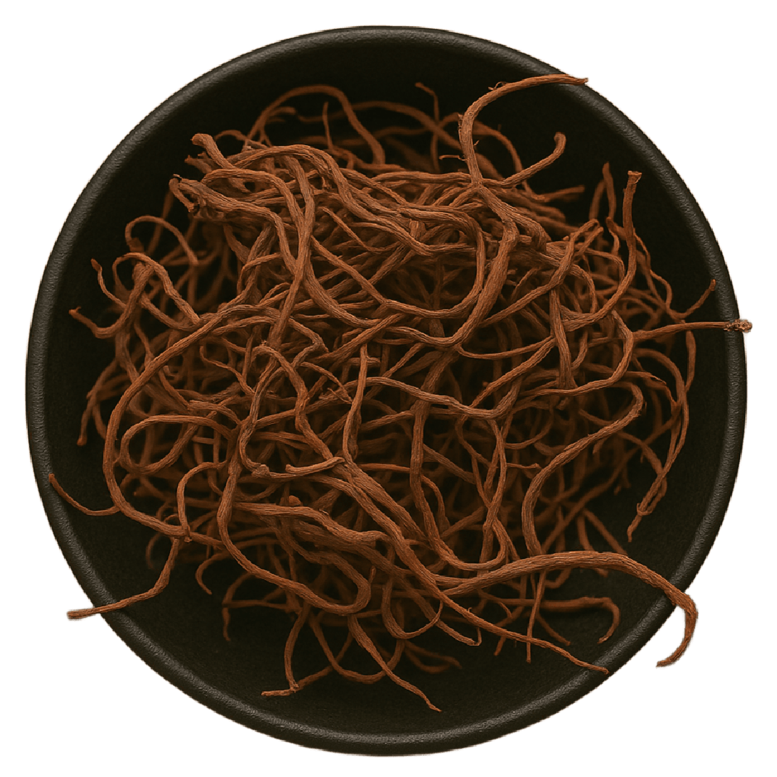 LA Herb – Engroshandel Krydderurter – Asterrod hel (Aster Tataricus)1