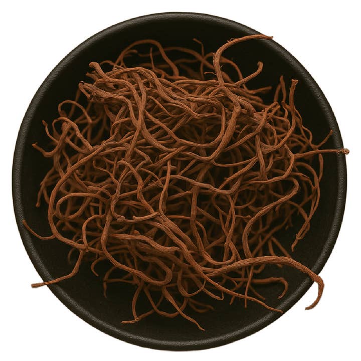 LA Herb – Engroshandel Krydderurter – Asterrod hel (Aster Tataricus)1