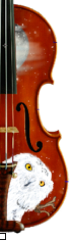 Rozanna's Violin - Vente Instruments de musique - Tenue de violon Mystic Owl3