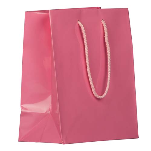 JAM PAPER - Wholesale Gift Bag - Glossy Gift Bags w/ Rope Handles, Medium, 8x4x10, Pink, 1PK0