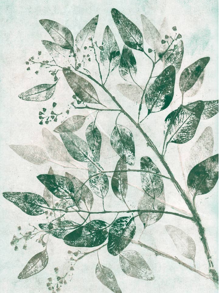 Eucalyptus 1 vert A pour la vente par PERNILLE FOLCARELLI