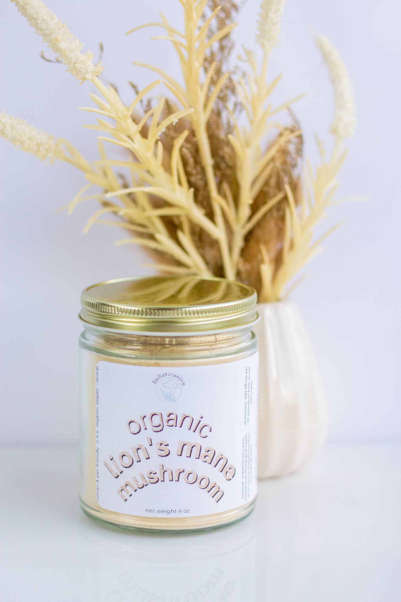 holisticanine - Wholesale Pet Supplement - Dog - Organic Lion's Mane Mushroom Supplement1