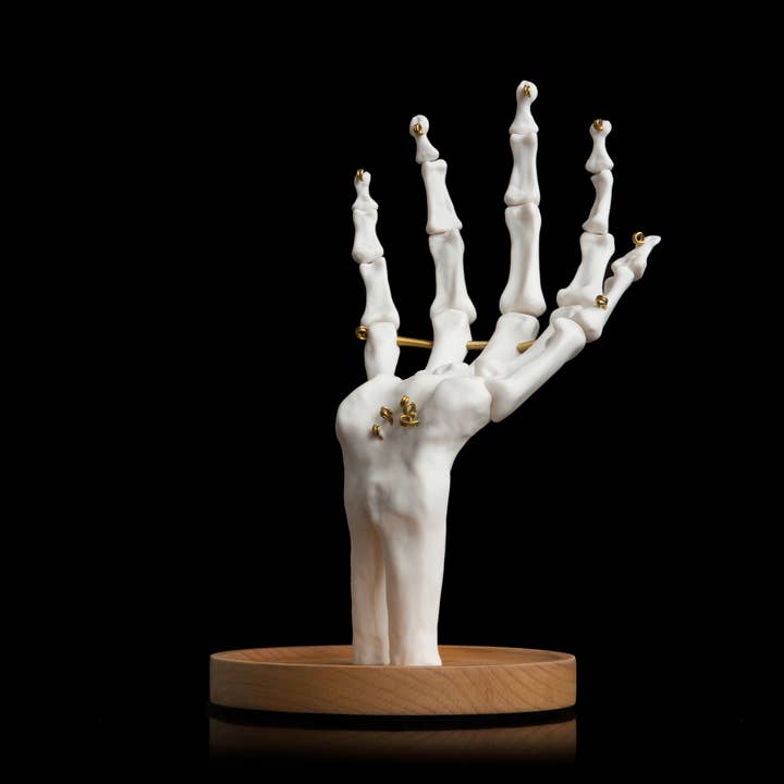 SUCK UK Ltd - USA - Wholesale Jewelry Stand & Display - Skeleton Hand Jewelry Tidy