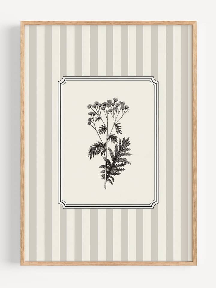 Warm Grey Stripe Botanical Wall Art Print | Vintage Flower Illustration I183 for wholesale by Peardrop Prints