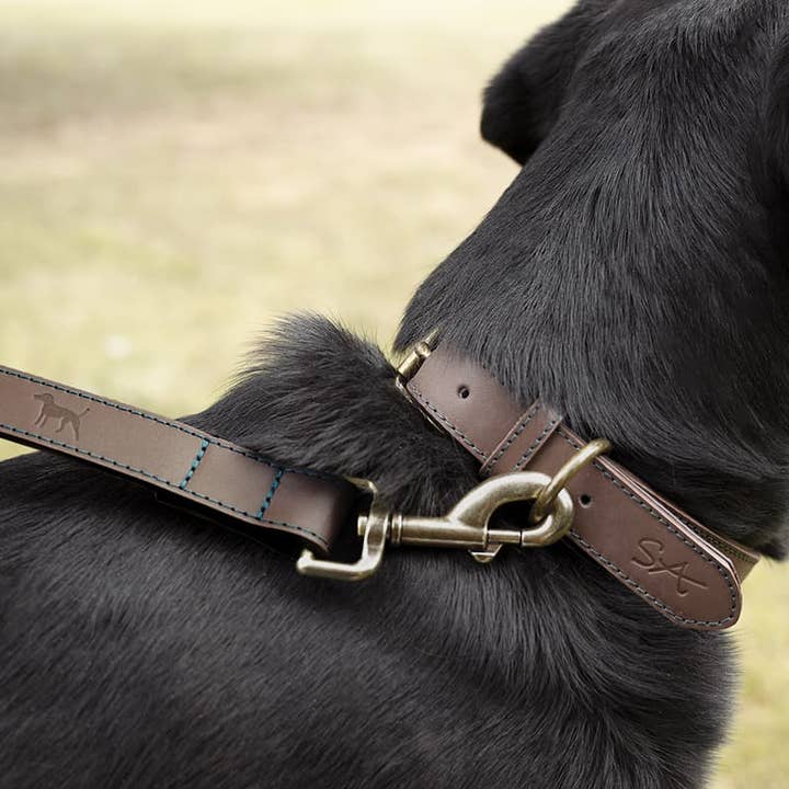 Collier pour chien en cuir Woof et autres tendances Résultats pour collier en cuir pour chien en vente B2B. Retours gratuits et paiement à 60 jours sur Faire sur Faire.