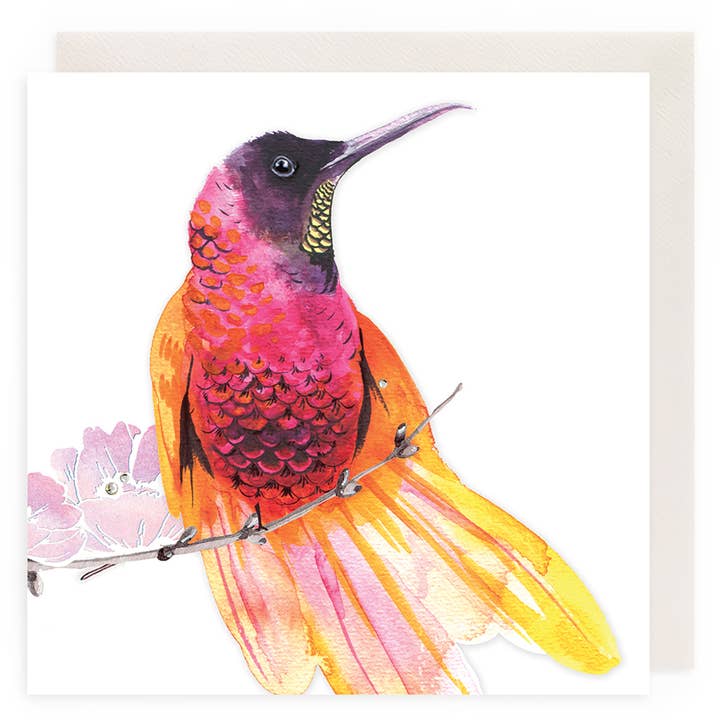 Carte ouverte Colibri pour la vente par Clear Creations