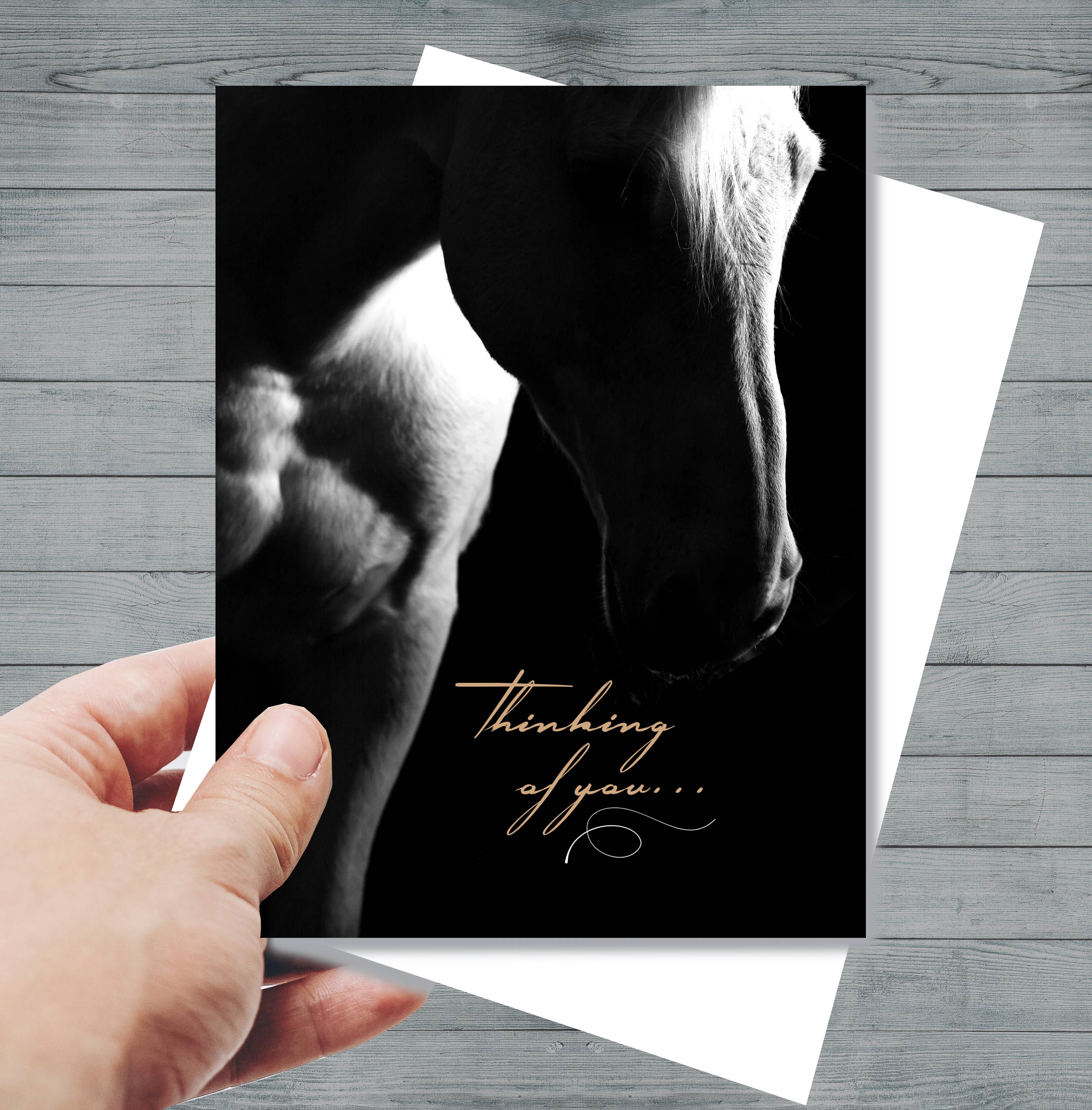 Horse Hollow Press - Wholesale Sympathy Card - Horse Sympathy Greeting Card / Thinking of you8