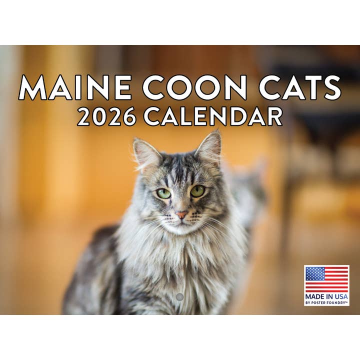 Multi Color Maine Coon Cat Calendar 2026 Monthly Wall Calender 12 Month | American Made In The USA for wholesale on Faire
