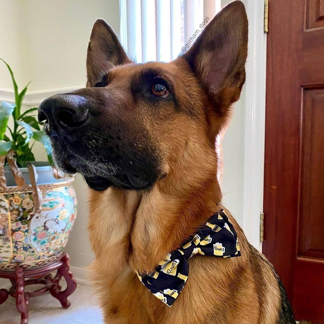 Huxley & Kent - Wholesale Pet Bow Tie - Cat/Dog - Suds Bow Tie1