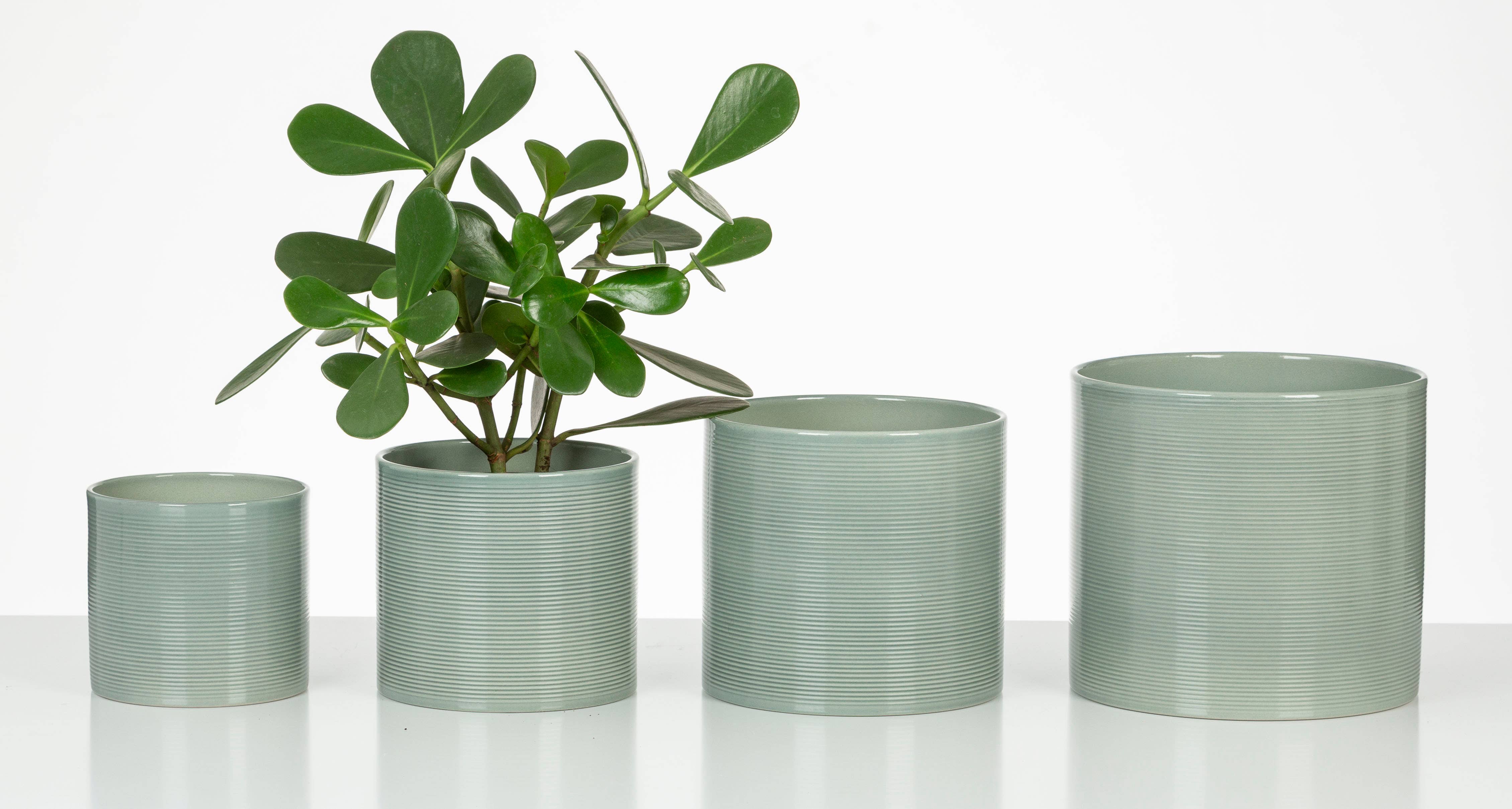 828 Sage Green ceramic flower pot/planter for wholesale on Faire3